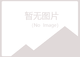 鹤岗兴山夜白咨询有限公司